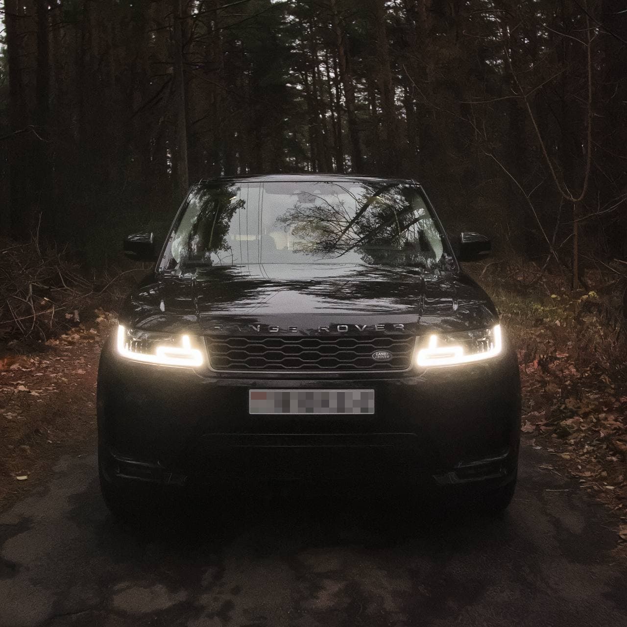 Range Rover Sport, фото 1
